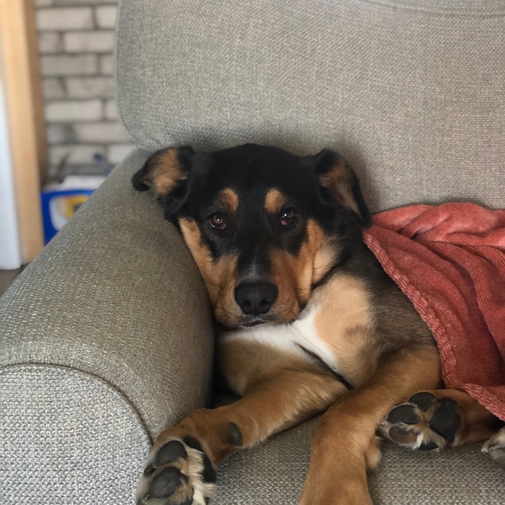 MY CLOSET - Picture 3 of 8